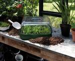 green basics kweektray m blad groen